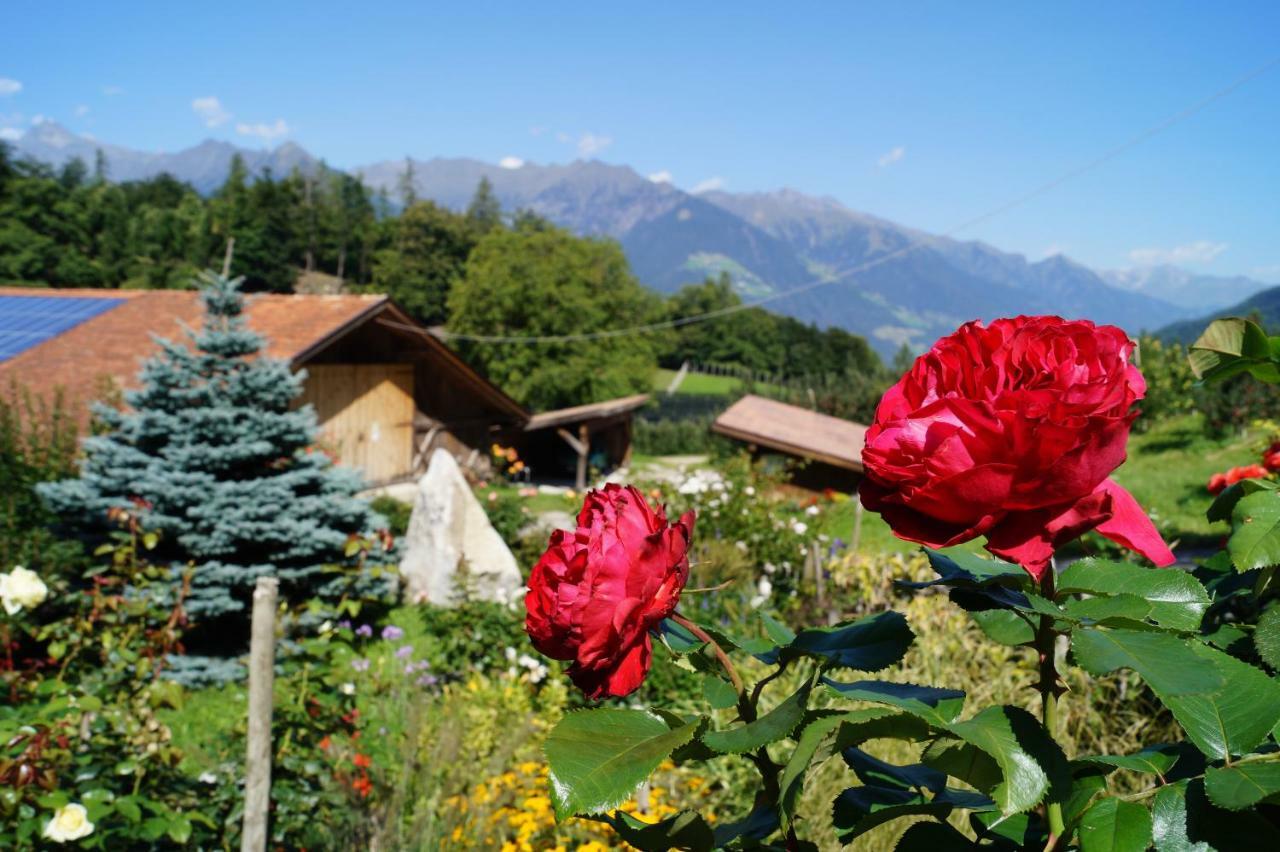Appartements Grumserhof Merano Eksteriør bilde